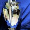 COPYTROPHY SIDE